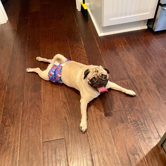 Meet your Posher, Erika - Picture 1 of 1